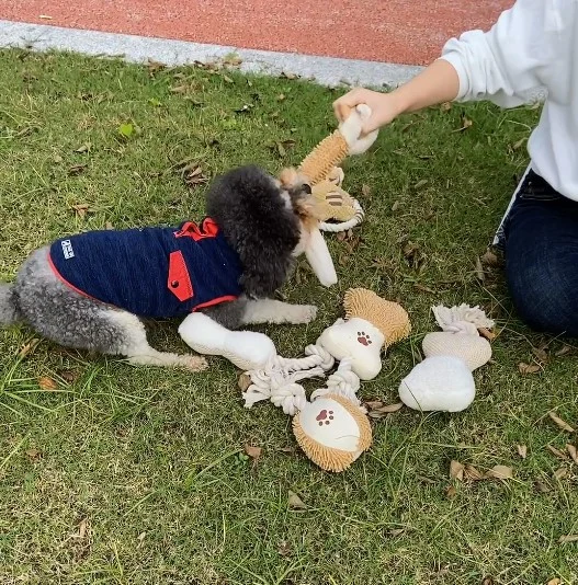 Rena Pet Dog Plush Mastigando Jogo Interativo Squeaky Soft Stuffed Poly